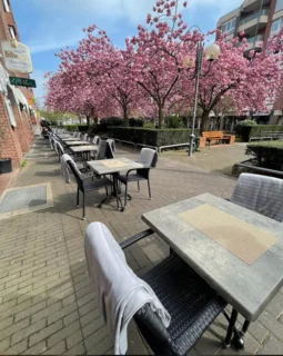Terrasse mit Tischen und blühendem Baum vor dem Restaurant